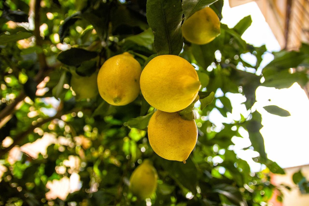 Apartmán Fior Di Limone Sestri Levante Exteriér fotografie