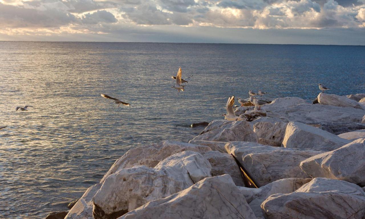 Apartmán Fior Di Limone Sestri Levante Exteriér fotografie